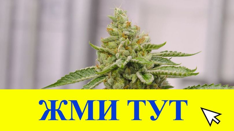 Купить наркотики в Тольятти